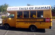 Tails Of Hawaii- dr.side